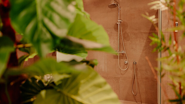 Duschen im Wellnessbereich – Stadthotel Borken Duschen im Wellnessbereich des Stadthotel Borken by Hackmann, umgeben von Pflanzen