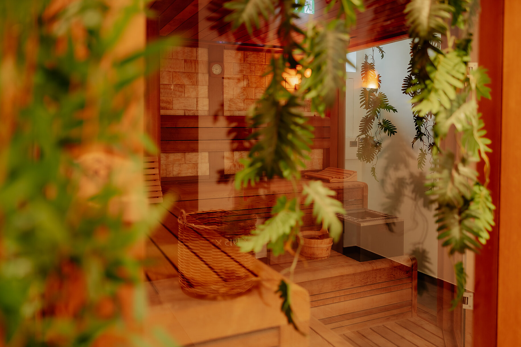 Finnische Sauna – Stadthotel Borken by Hackmann Blick in die finnische Sauna im Wellnessbereich des Stadthotels Borken by Hackmann