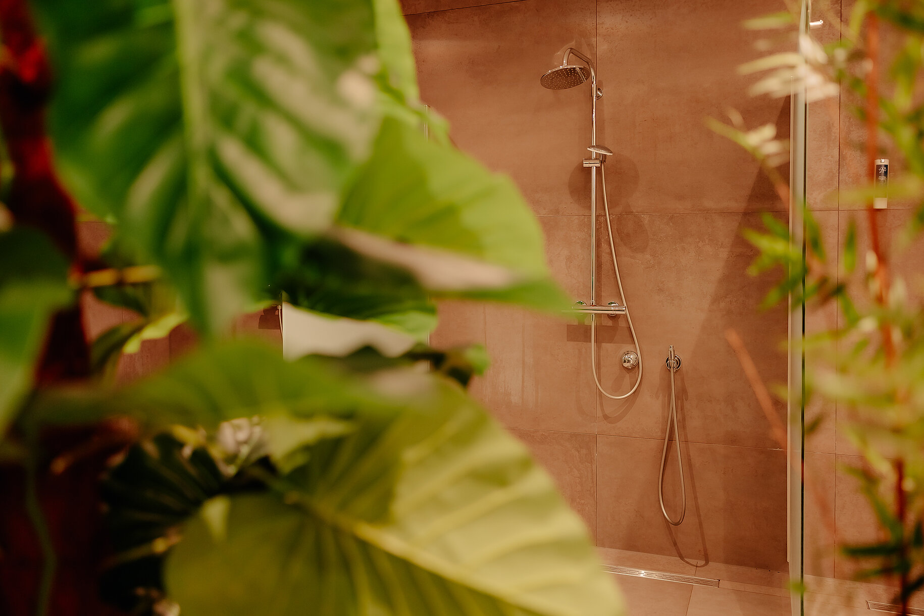 Duschen im Wellnessbereich – Stadthotel Borken Duschen im Wellnessbereich des Stadthotel Borken by Hackmann, umgeben von Pflanzen